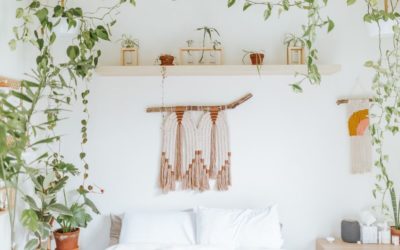 7 Air Purifying Plant Bedroom Ideas