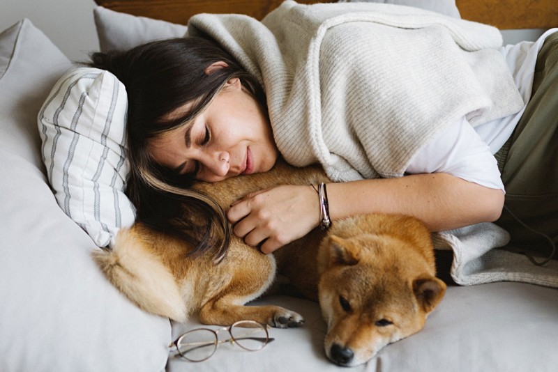 glad woman and shiba inu dog resting together on couch | sleep