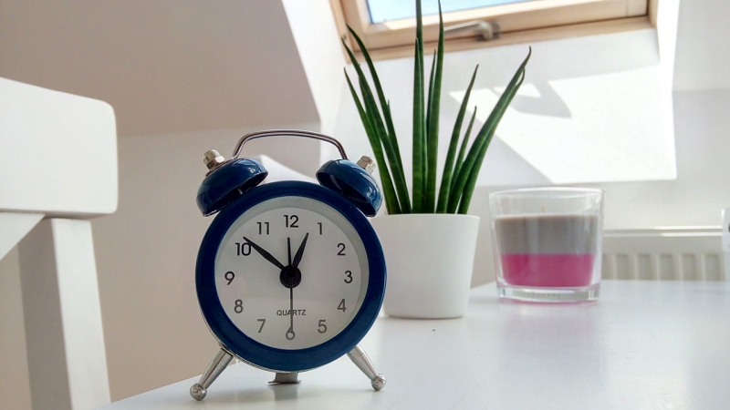 round blue alarm clock with bell on white table near snake plant | count