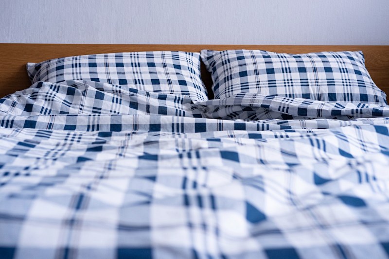 white and blue checkered bedsheet | expired